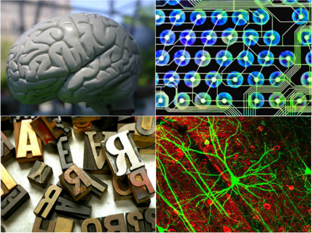 Welcome to the Cognitive Science Program at The University of Connecticut.